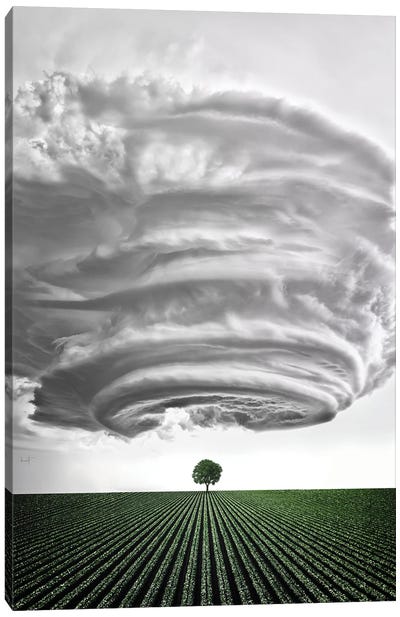 Soft Ice Cloud From Heaven Canvas Art Print - Kathrin Federer
