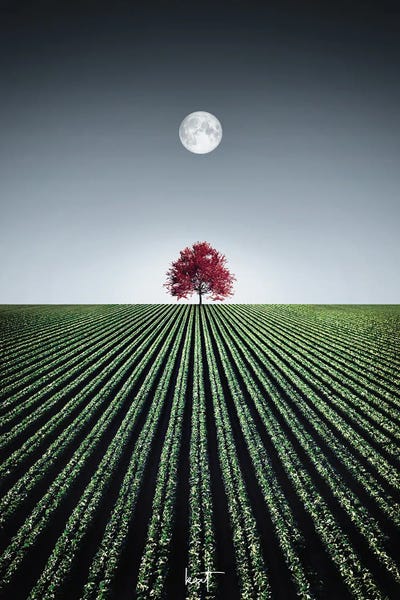 The Beguiling Maple by Kathrin Federer multi panel art