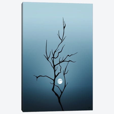 The Branch Canvas Print #KFD212} by Kathrin Federer Canvas Art