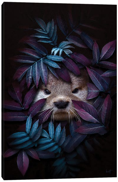Cheeky Small-Clawed Otter Canvas Art Print - Otter Art