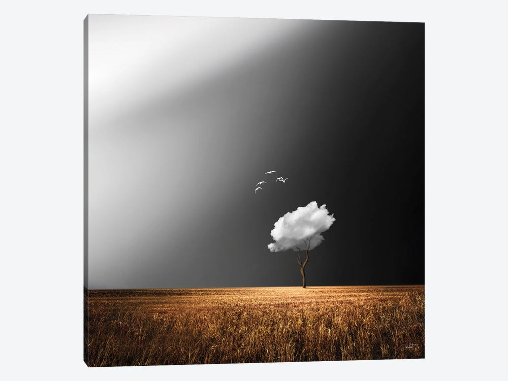 White Birds by Kathrin Federer 1-piece Canvas Wall Art