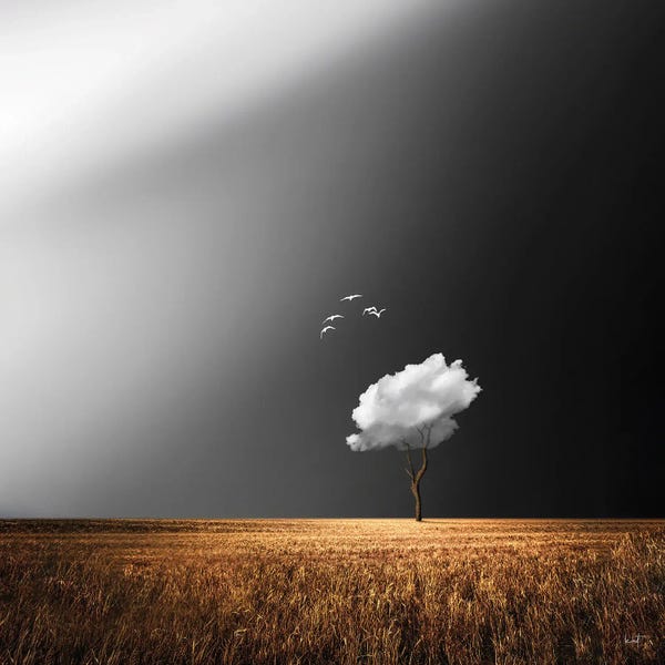 Composite Photography: White Birds by Kathrin Federer