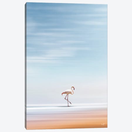 Beach Flamingo Canvas Print #KFD228} by Kathrin Federer Canvas Print