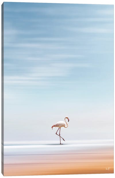 Beach Flamingo Canvas Art Print - Kathrin Federer