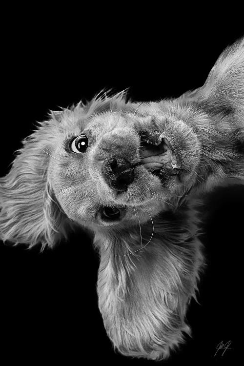 Freaky Friday by Kathrin Federer wall art