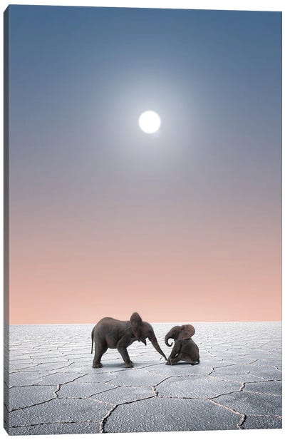 Elephants In The Desert Canvas Art Print - Kathrin Federer
