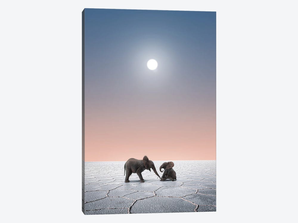Elephants In The Desert by Kathrin Federer 1-piece Canvas Art