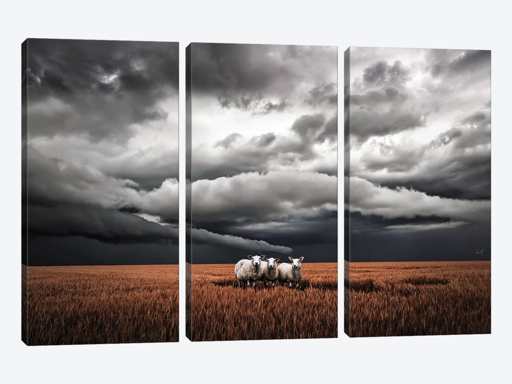 Absentminded Sheep (Landscape) by Kathrin Federer 3-piece Canvas Art Print