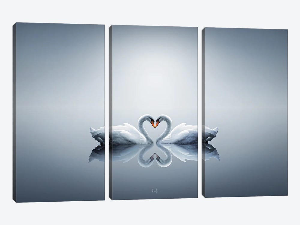 Love Swans by Kathrin Federer 3-piece Canvas Print