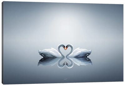 Love Swans Canvas Art Print - Heart Art