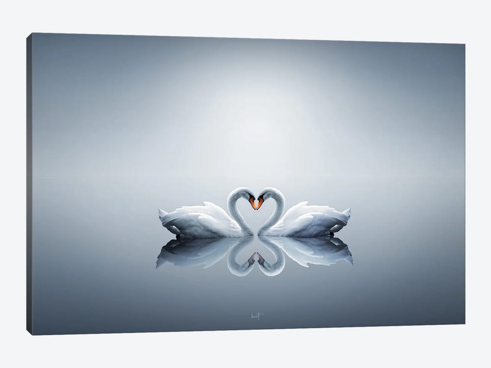 Love Swans by Kathrin Federer 1-piece Canvas Print