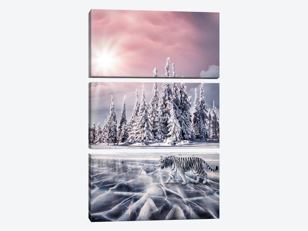 Fantasy Winterwonderland by Kathrin Federer 3-piece Canvas Print