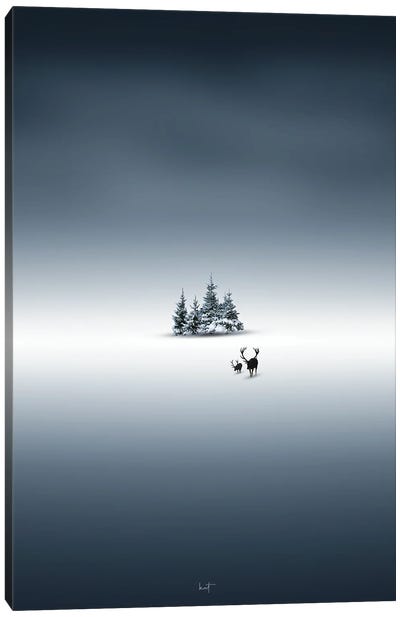 A Piece Of Winter Canvas Art Print - Kathrin Federer