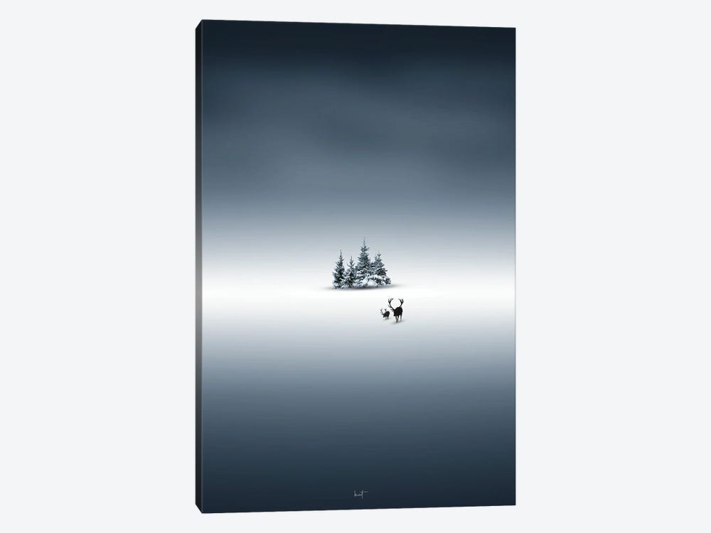 A Piece Of Winter by Kathrin Federer 1-piece Canvas Art