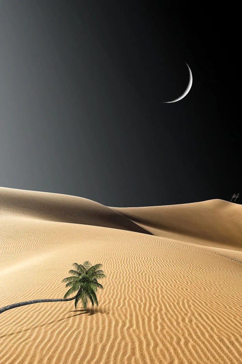 Courage To Emptyness by Kathrin Federer wall art