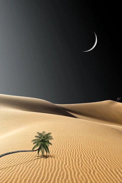 Photography: Courage To Emptyness by Kathrin Federer