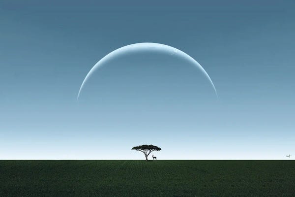 Deer: Moon Bambi by Kathrin Federer