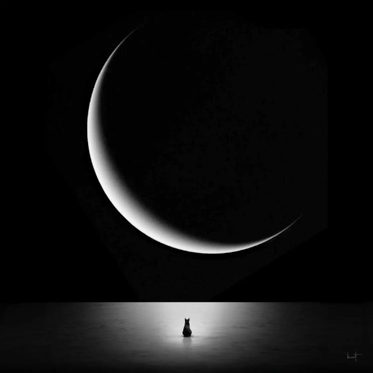 Moonstruck by Kathrin Federer wall art