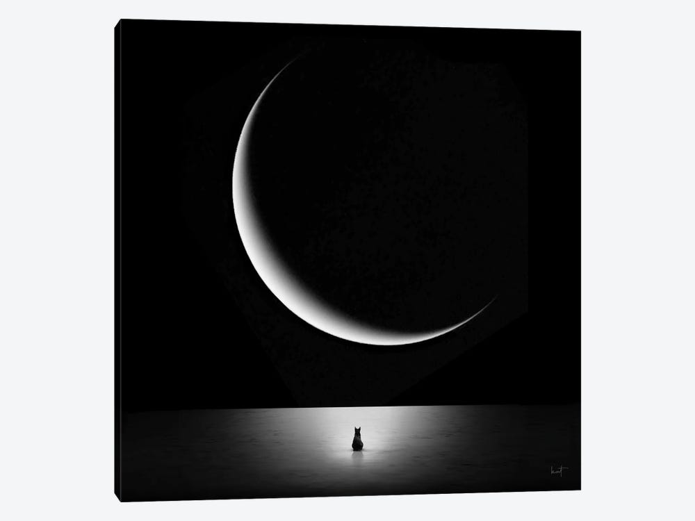 Moonstruck by Kathrin Federer 1-piece Canvas Artwork