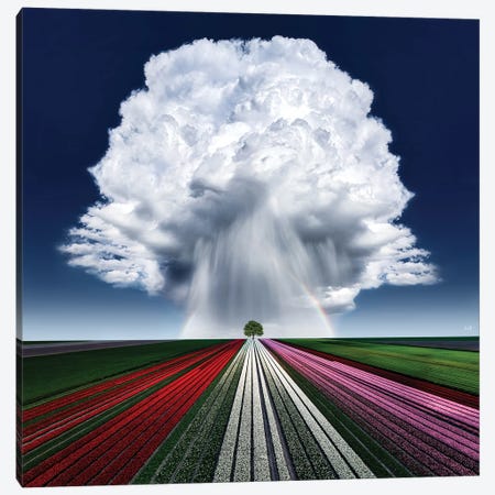 Rainbow Cloud Canvas Print #KFD251} by Kathrin Federer Canvas Artwork