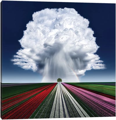 Rainbow Cloud Canvas Art Print - Kathrin Federer