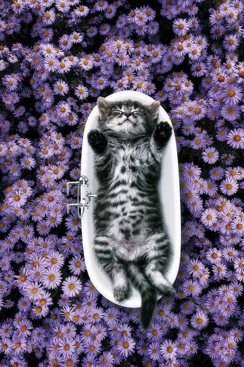 Bliss In The Tub From The Dollhouse by Kathrin Federer wall art