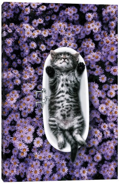 Bliss In The Tub From The Dollhouse Canvas Art Print - Animal & Pet Photography
