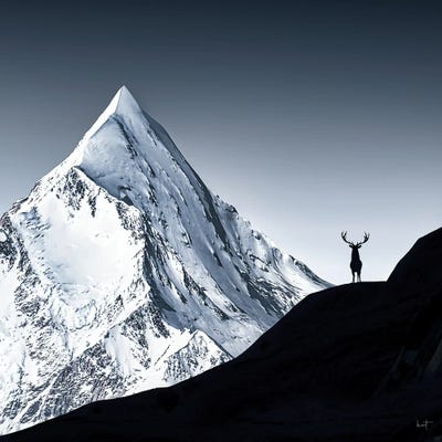 Summit Guardian by Kathrin Federer framed canvas print