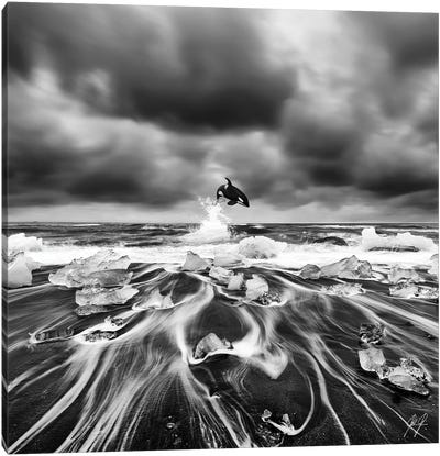 Ice Whale I Canvas Art Print - Kathrin Federer