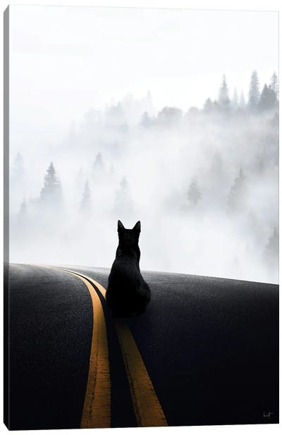 Longing For Home Final Canvas Art Print - Animal & Pet Photography