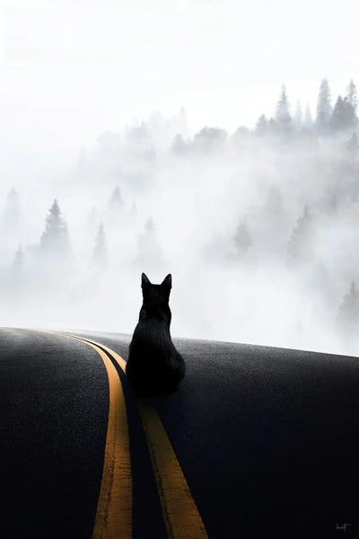 Black Cats: Longing For Home Final by Kathrin Federer