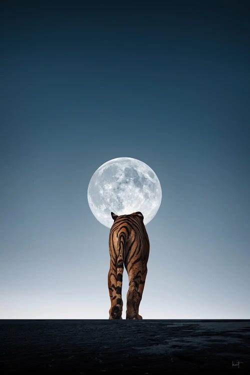 Loner by Kathrin Federer wall art