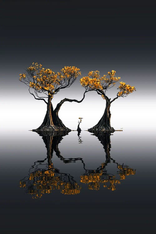 Mangrove D'Or by Kathrin Federer wall art