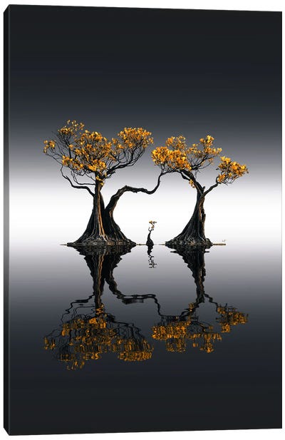 Mangrove D'Or Canvas Art Print - Kathrin Federer