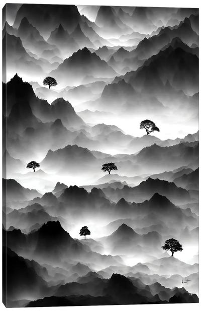 Treescapes Canvas Art Print - Mist & Fog Art