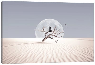 Desert Dreamer Canvas Art Print - Kathrin Federer