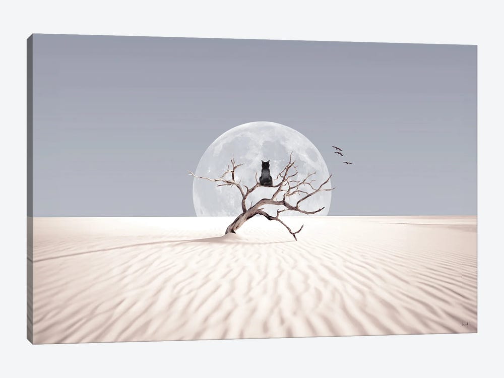 Desert Dreamer by Kathrin Federer 1-piece Canvas Wall Art