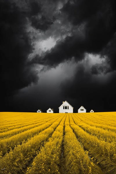 Apocalyptic Canola Dream by Kathrin Federer framed canvas print