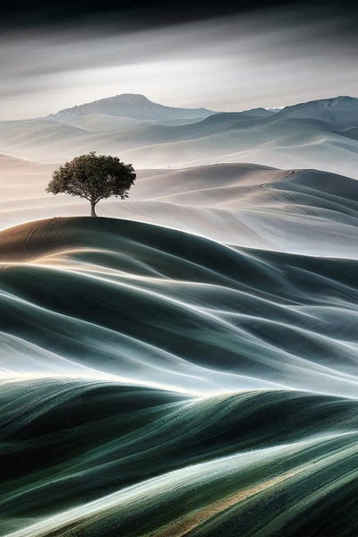 Douce Collines I by Kathrin Federer framed canvas print