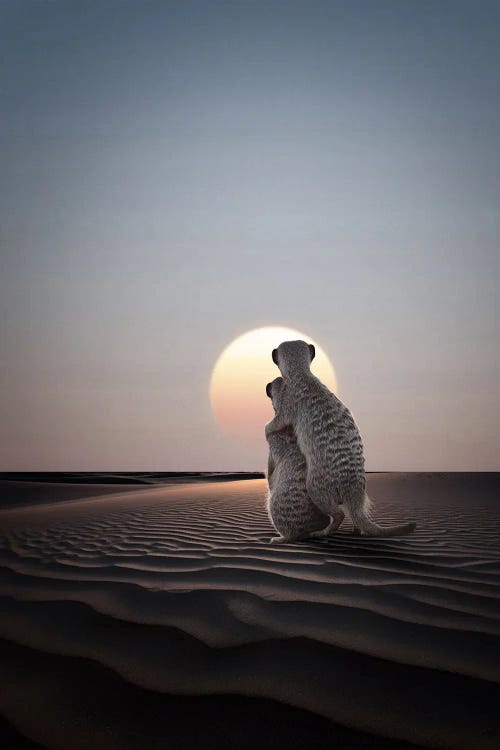 Just You And Me by Kathrin Federer wall art