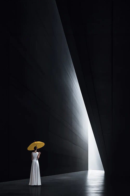 Lady X by Kathrin Federer wall art