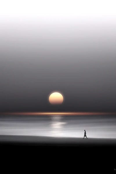 Zen Master: Sunset Walk by Kathrin Federer