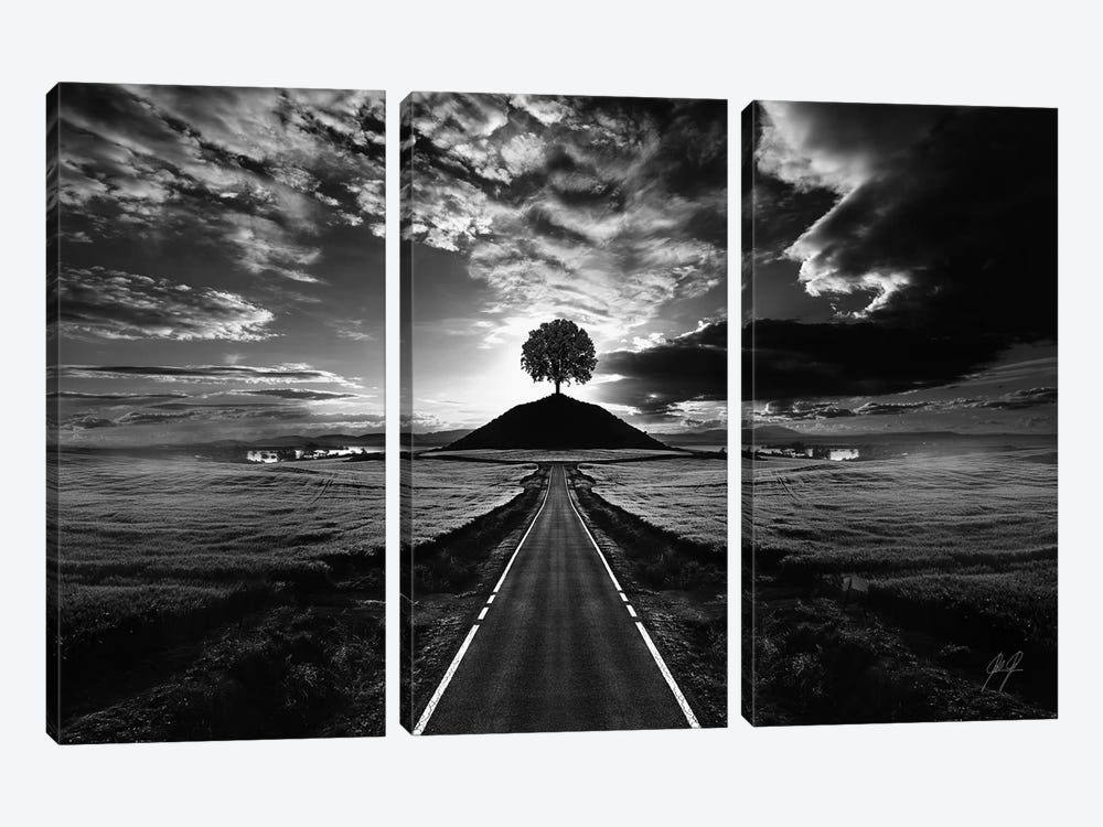 Monument Tree by Kathrin Federer 3-piece Art Print
