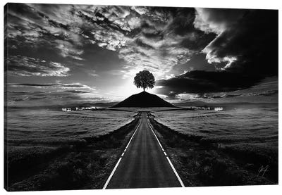 Monument Tree Canvas Art Print - Composite Photography