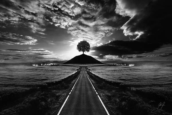 Composite Photography: Monument Tree by Kathrin Federer