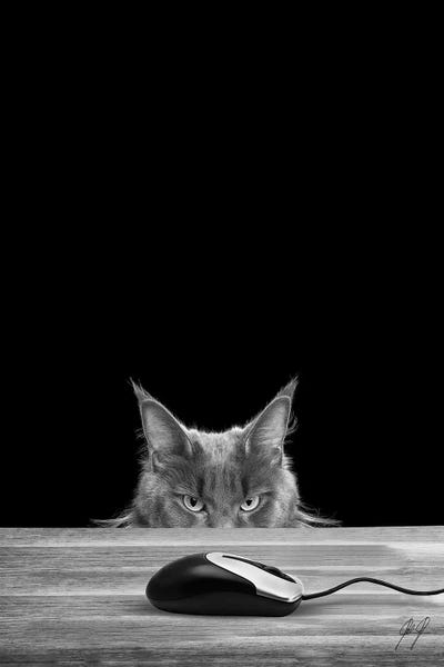 Cats: Natural Instinct by Kathrin Federer