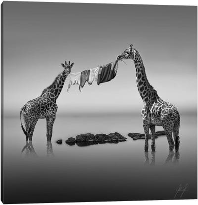 Shared Work Is Half Work Canvas Art Print - Giraffe Art