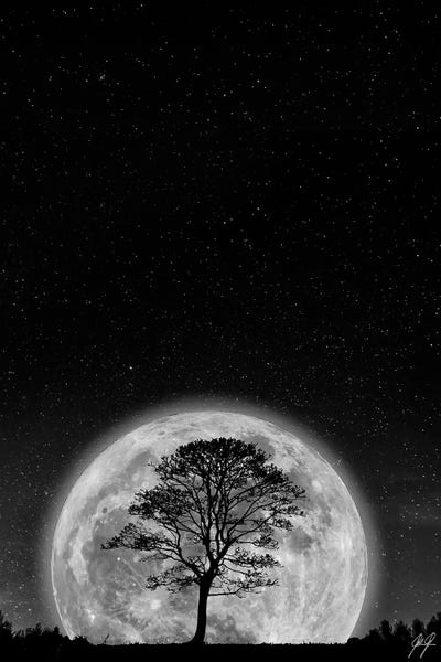 Minimalist Photography: Supermoon by Kathrin Federer