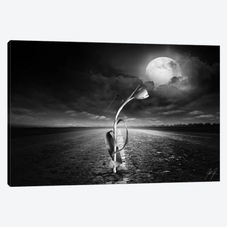 The Power Of Mother Nature Canvas Print #KFD49} by Kathrin Federer Canvas Wall Art