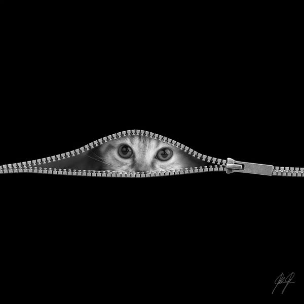 Minimalist Photography: The Timid by Kathrin Federer